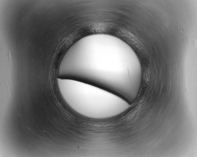 X0000098230645200804241202
