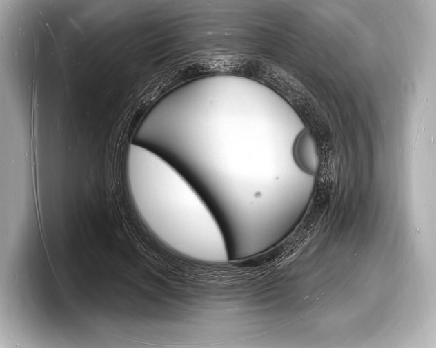 X0000098230646200804241202