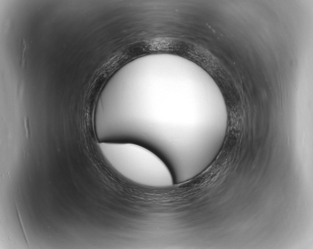 X0000098230648200804241202