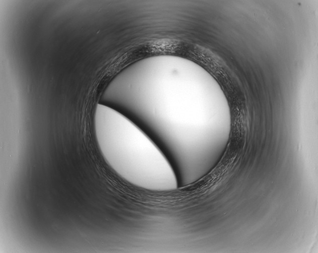 X0000098230649200804241202