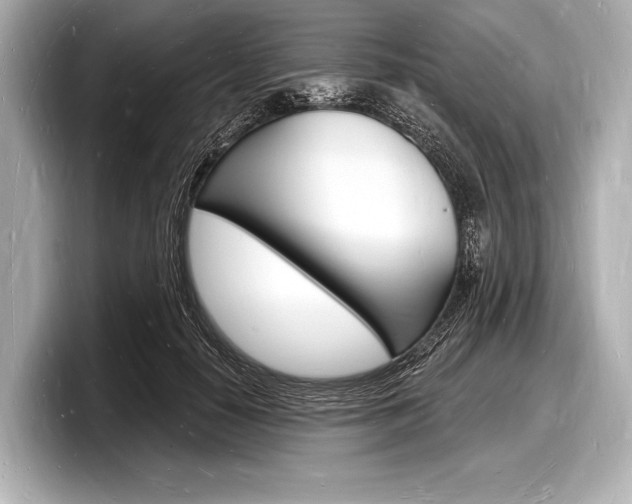 X0000098230650200804241202