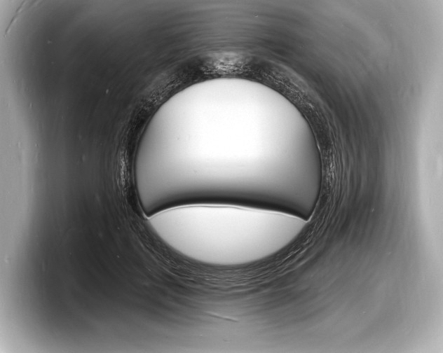 X0000098230651200804241202