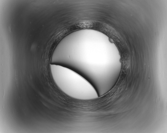 X0000098230652200804241202