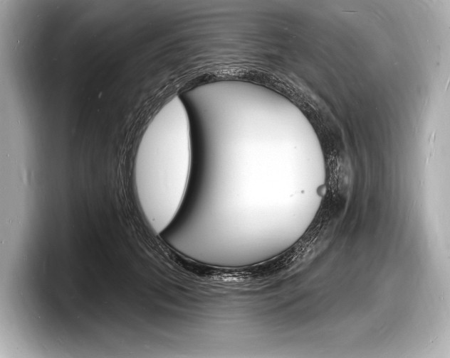 X0000098230655200804241202