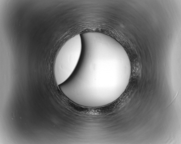 X0000098230656200804241202