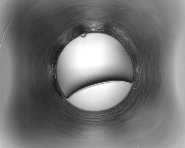 X0000098230657200804241202