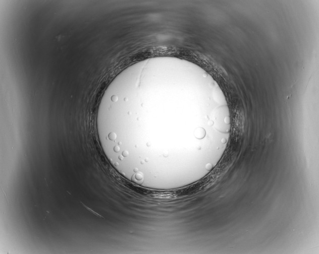X0000098230659200804241202