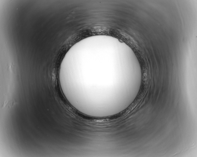 X0000098230662200804241202