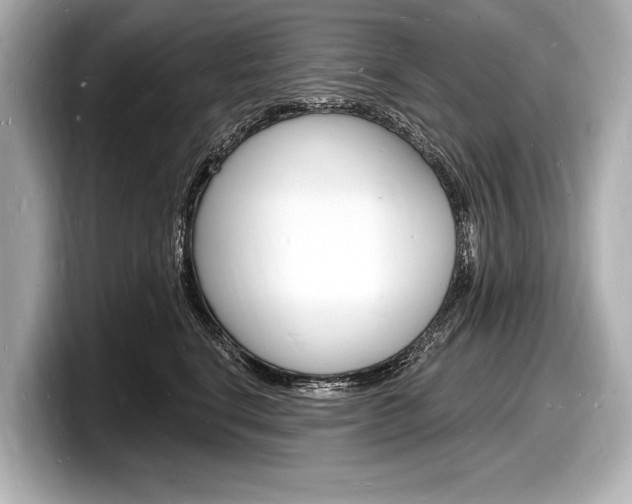 X0000098230664200804241202