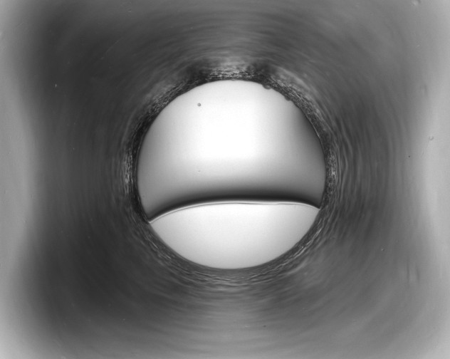 X0000098230665200804241202