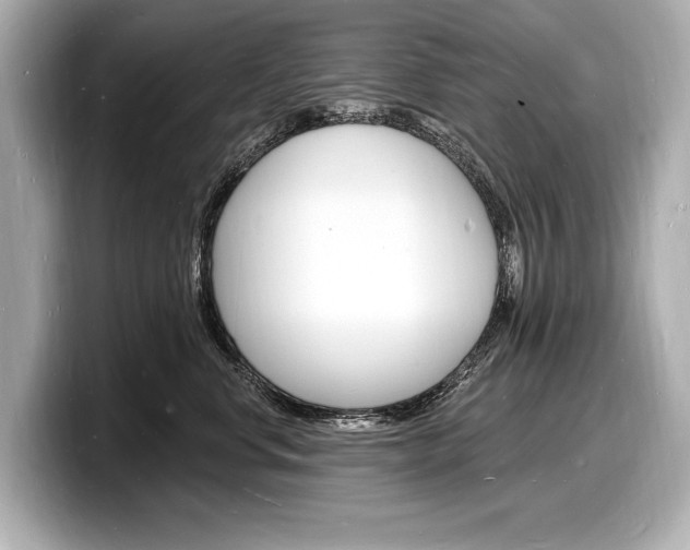 X0000098230668200804241202