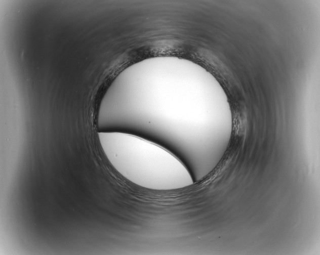 X0000098230670200804241202