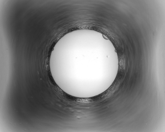 X0000098230671200804241203