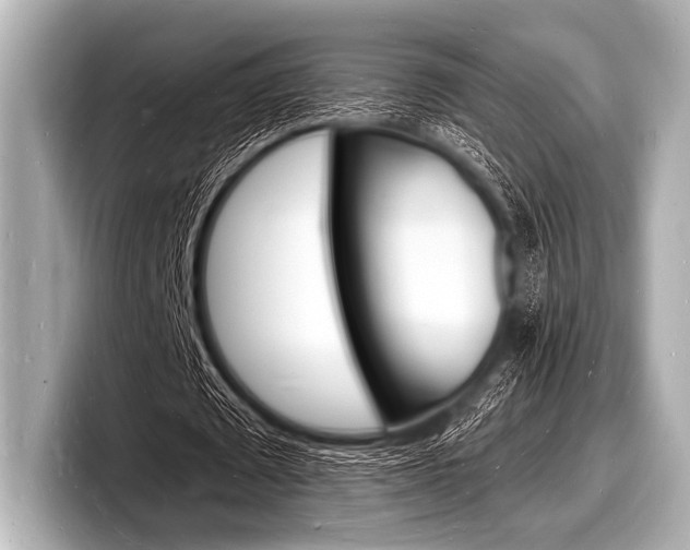 X0000098230673200804241202