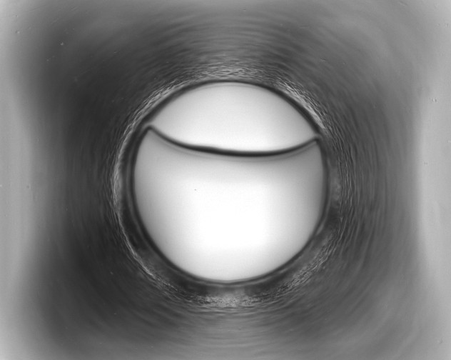 X0000098230674200804241202