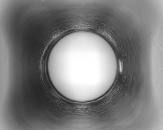 X0000098230675200804241202