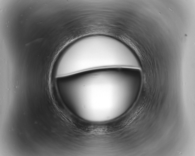 X0000098230676200804241202