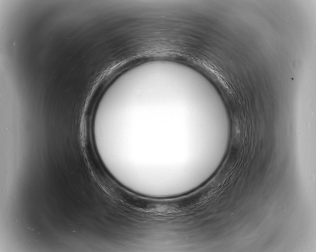 X0000098230678200804241202