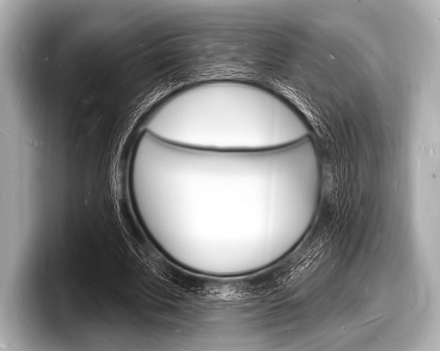 X0000098230679200804241202