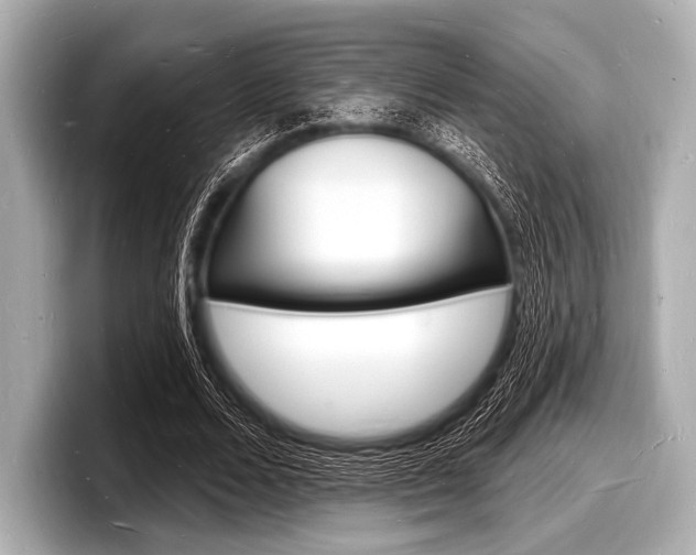 X0000098230680200804241202