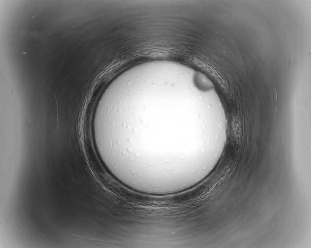 X0000098230682200804241202