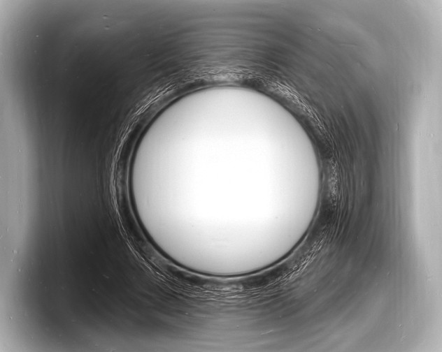 X0000098230683200804241202