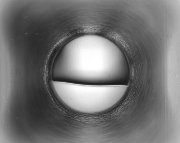 X0000098230684200804241202