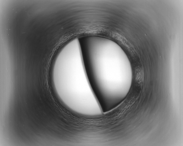 X0000098230685200804241202