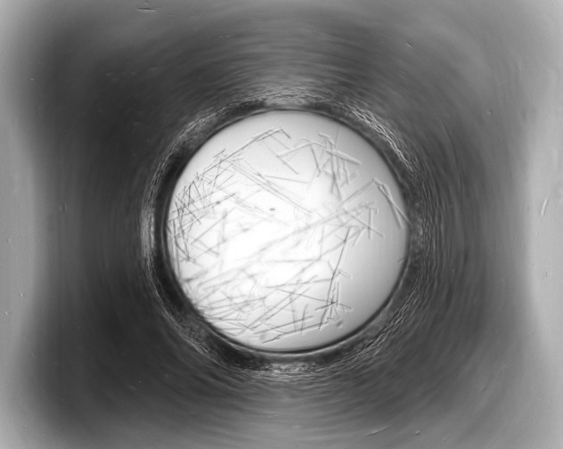 X0000098230686200804241202