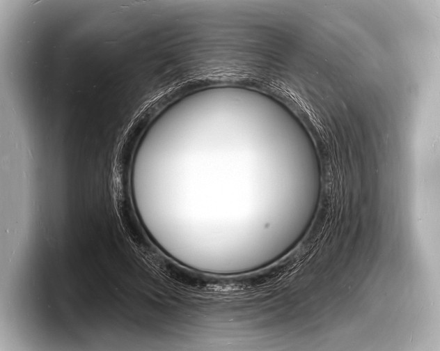 X0000098230688200804241202