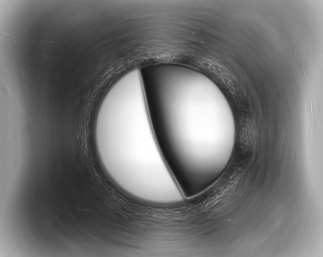 X0000098230689200804241202