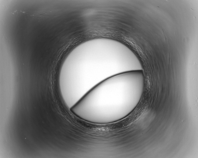 X0000098230691200804241202