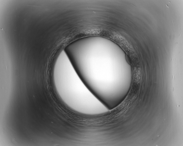 X0000098230692200804241202