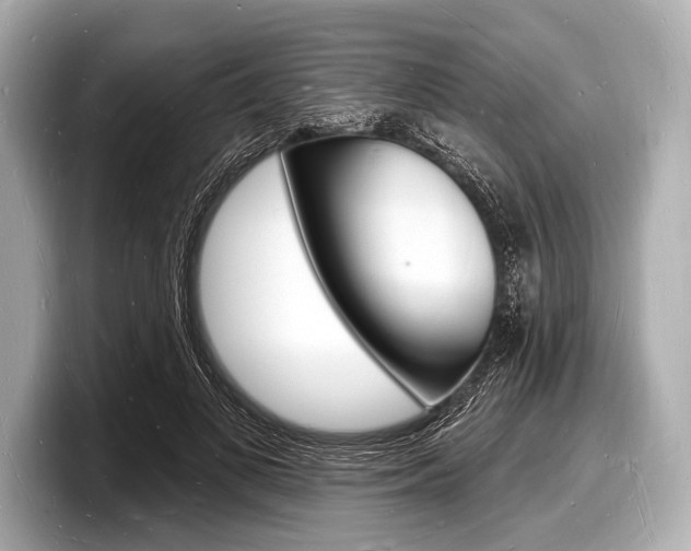 X0000098230693200804241202