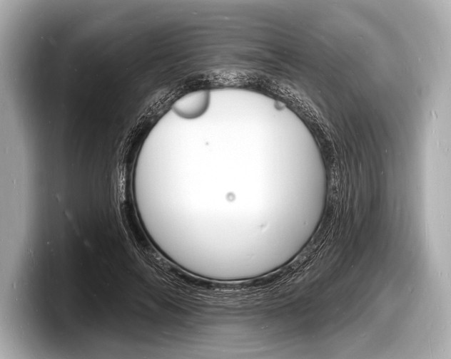 X0000098230694200804241202
