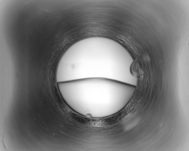 X0000098230695200804241202