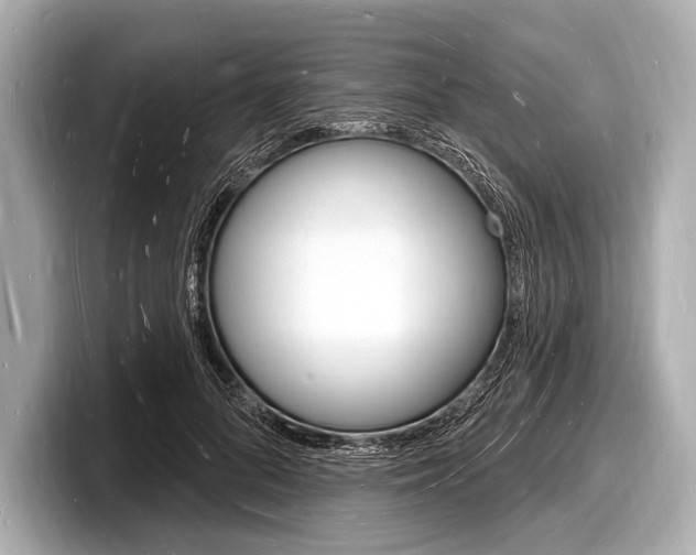 X0000098230696200804241202