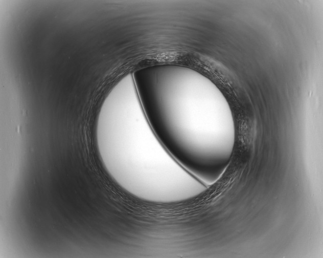 X0000098230697200804241202