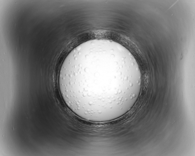 X0000098230698200804241202