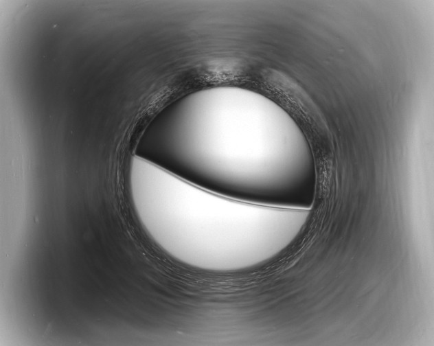 X0000098230700200804241202