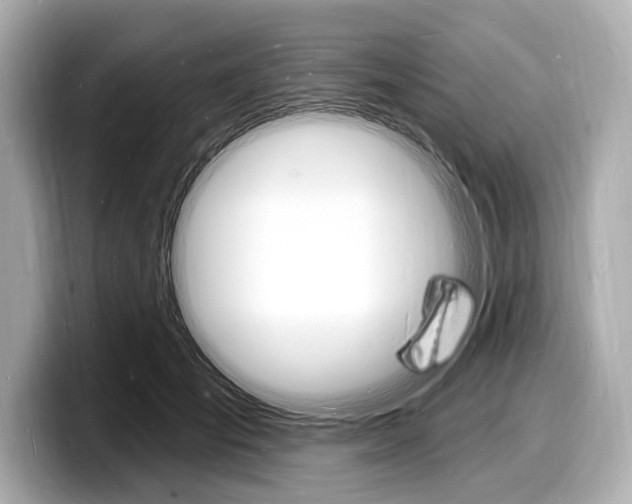 X0000098230701200804241201