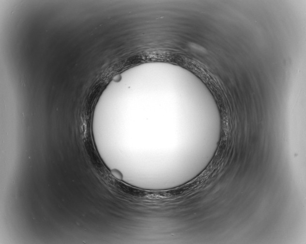 X0000098230703200804241201