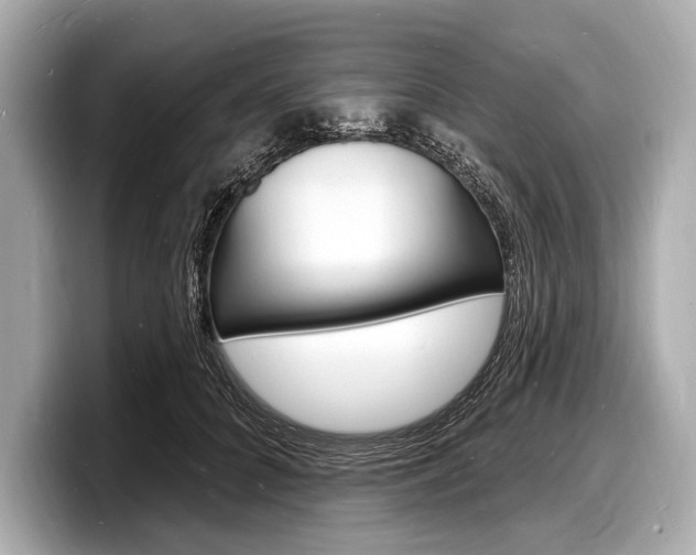 X0000098230704200804241201