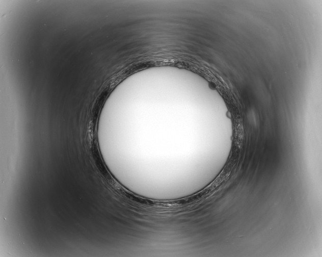 X0000098230707200804241201