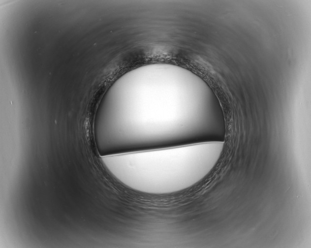 X0000098230708200804241201