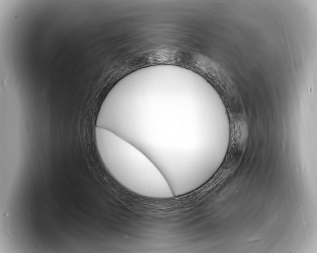 X0000098230709200804241201