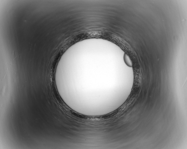 X0000098230710200804241201