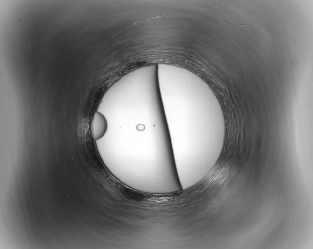 X0000098230711200804241201