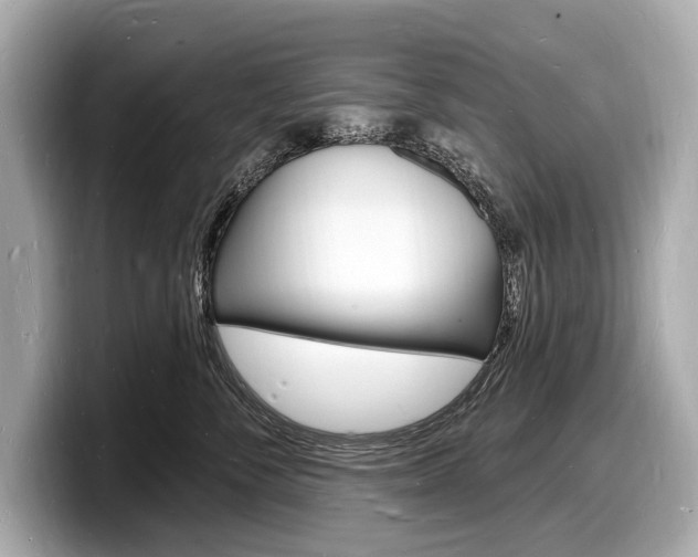 X0000098230716200804241201