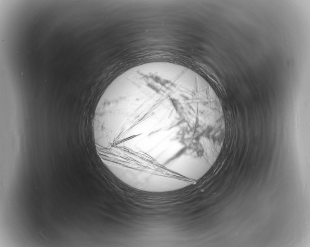 X0000098230717200804241201